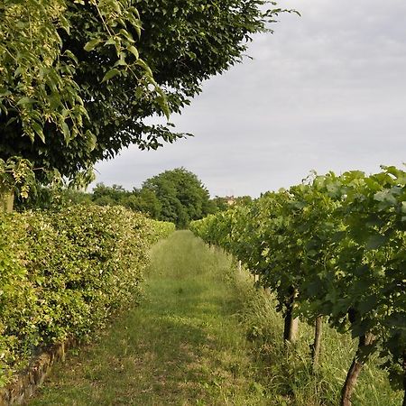 Casa Griunit Villa Capriva del Friuli Kültér fotó